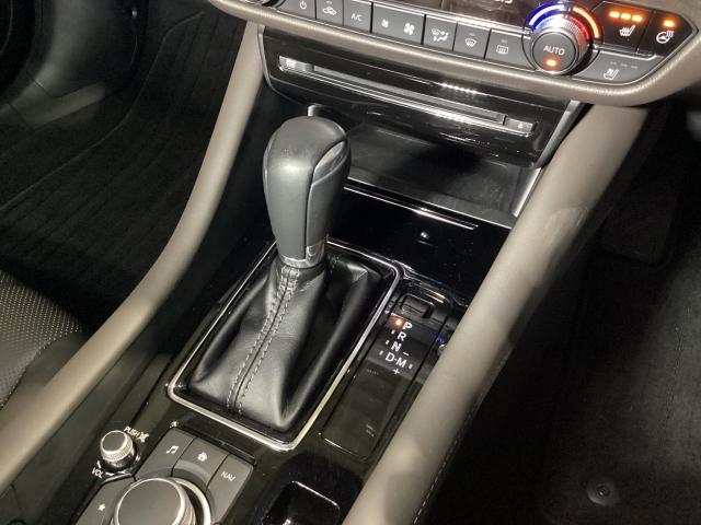 �A�N�Z���y�_���𓥂ݍ��ޗʂ⑬���ɉ����ĕϑ��p�^�[�����œK���䂵�A�l�n��̂̉^�]���o�𔭊����Ă����U���I�[�g�}�I