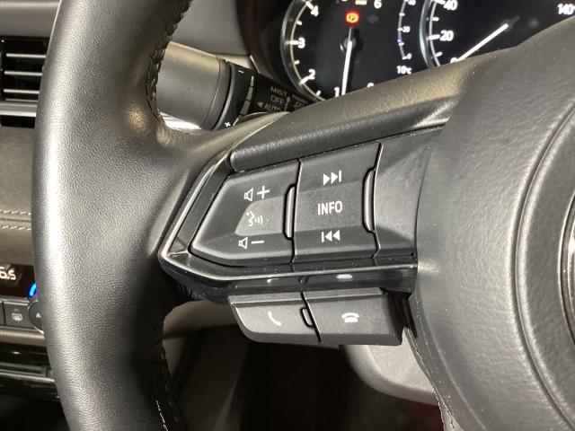 �I�[�f�B�I�����[�g�R���g���[���X�C�b�`�ɂ��A�茳�ł̃X�e���I�����A�n���Y�t���[�ʘb���y���߂܂��B