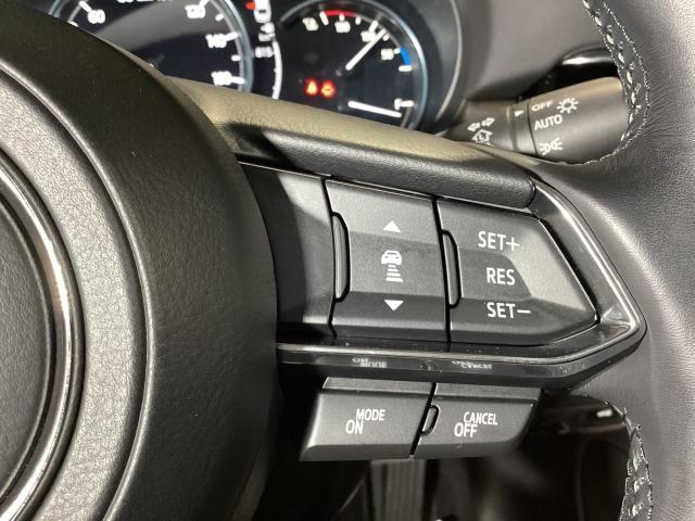 �l�q�b�b�i�}�c�_���[�_�[�N���[�Y�R���g���[���j�͐�s�ԂƂ̎ԊԂ��ێ����Ȃ���Ǐ]���s���s���A�������ł̃h���C�o�[���S���y�������Ă���܂��B