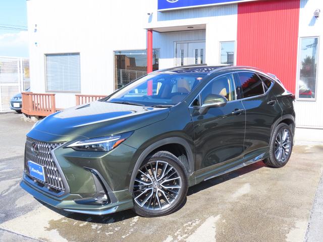 NX NX350hVerL後期茶革PSRマクレビAパーク Mエアロ 後期 茶革PSR マクレビ パノラV Aパーク PKSB BSM HUD ITS AHS Dミラ 禁煙車 Dレコーダ 後席電動&ヒータ AC1500W 寒冷地 ルーフR 3眼LED モデリスタエアロ(27枚目)