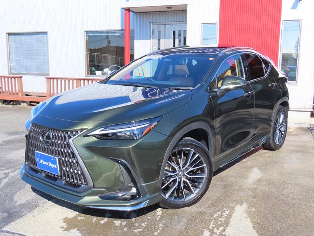 NX NX350hVerL後期茶革PSRマクレビAパーク Mエアロ 後期 茶革PSR マクレビ パノラV Aパーク PKSB BSM HUD ITS AHS Dミラ 禁煙車 Dレコーダ 後席電動&ヒータ AC1500W 寒冷地 ルーフR 3眼LED モデリスタエアロ(28枚目)