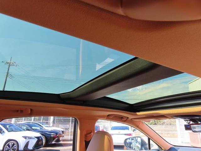 NX NX350hVerL後期茶革PSRマクレビAパーク Mエアロ 後期 茶革PSR マクレビ パノラV Aパーク PKSB BSM HUD ITS AHS Dミラ 禁煙車 Dレコーダ 後席電動&ヒータ AC1500W 寒冷地 ルーフR 3眼LED モデリスタエアロ(59枚目)