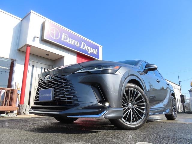 RX RX450h+ バージョンL 4WD 1オナ茶革PSR パノラV Aパーク PKSB BSM HUD AHS 輻射H Dミラー おく充電 禁煙車 Dレコーダ 後席電動&ベンチ&ヒータ AC1500W 3眼LED モデリスタエアロ(23枚目)