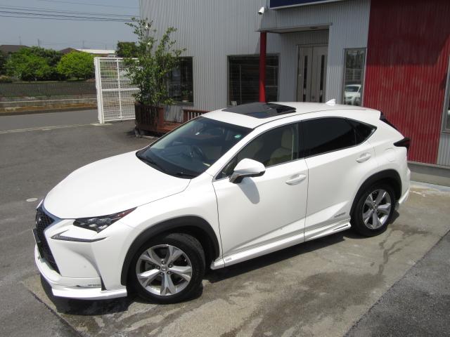 NX300hVerL 白革SRマクレビ 全レーダC TOMS 後期 白革SR 純ナビ地デジ マクレビ 全車速レーダC プリクラ パノラV BSM AHB LDA HUD 禁煙車 TVジャンパ 後席電動 AC100W PBドア 3眼LED トムスエアロ&4本マフラ(3枚目)
