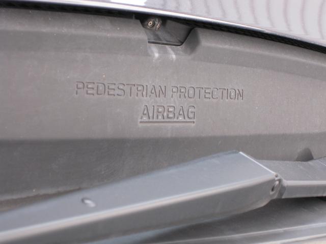 フォレスター Ｘ－ブレイク　新世代アイサイト・ナビ・ＥＴＣ２．０・ドラレコ　リヤカメラ・リモコンエンスタ・ディスプレイコーナーセンサー・運転席＆助手席パワーシート・ステアリングヒーター・パワーリヤゲート・サイドビューモニター・アイサイトセイフティプラス（運転支援＆視界拡張）（34枚目）