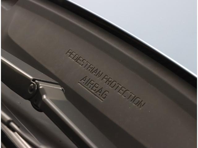 フォレスター Premium EyeSight搭載車 ナビ・TV・ETC パワーリヤゲート・キーレスアクセス&プッシュスタート・運転席&助手席パワーシート・サイドビューモニター・アイサイトセイフティプラス(アダプティブドライビングビーム・リヤビークルディテクション(44枚目)