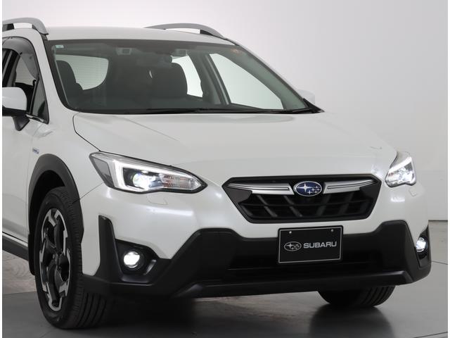 �t�����g�̓��Ηނ͂k�d�c�ƂȂ�܂��I