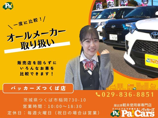 Ｓ　届出済未使用車　ＬＥＤライト　Ｂカメラ(61枚目)