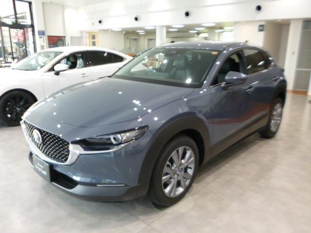 ＣＸ－３０ ２．０　２０Ｓ　ツーリング　４ＷＤ　２０Ｓ　ＴＲＧ　デモＵＰ　黒革　ナビ　ＥＴＣ　ＴＶ　Ｂｌｕｅｔｏｏｔｈ　衝突軽減ブレーキ　クリアランスソナー　フルセグＴＶ　レーダークルーズ　パワーシート　オートライト　オートマチックハイビーム（32枚目）