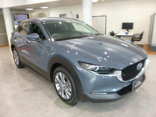ＣＸ－３０ ２．０　２０Ｓ　ツーリング　４ＷＤ　２０Ｓ　ＴＲＧ　デモＵＰ　黒革　ナビ　ＥＴＣ　ＴＶ　Ｂｌｕｅｔｏｏｔｈ　衝突軽減ブレーキ　クリアランスソナー　フルセグＴＶ　レーダークルーズ　パワーシート　オートライト　オートマチックハイビーム（34枚目）