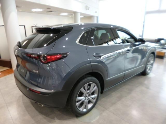 ＣＸ－３０ ２．０　２０Ｓ　ツーリング　４ＷＤ　２０Ｓ　ＴＲＧ　デモＵＰ　黒革　ナビ　ＥＴＣ　ＴＶ　Ｂｌｕｅｔｏｏｔｈ　衝突軽減ブレーキ　クリアランスソナー　フルセグＴＶ　レーダークルーズ　パワーシート　オートライト　オートマチックハイビーム（38枚目）