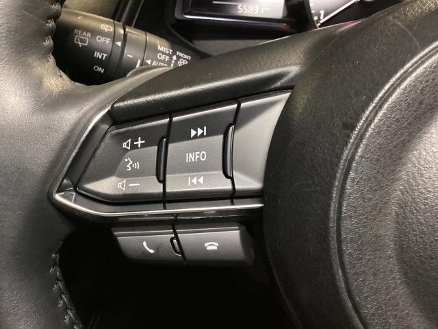 ＣＸ－３ ２．０　２０Ｓ　プロアクティブ　Ｓパッケージ　Ａストップ　運転席パワーシート　エアコン　クリソナ　パワステ　ドラレコ　スマートキー＆プッシュスタート　記録簿　メモリーナビ　地デジ　シートＨ　ＬＥＤヘッド　ＤＶＤ　ナビＴＶ　横滑り防止装置　ＵＳＢ（25枚目）