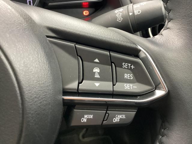 MAZDA2 1.5 15BD パノラマモニタ ブルートゥース スマートシティブレーキサポート 前後ソナー レーダークルーズ レーンキープ LEDヘッドランプ フルセグTV ワンオーナー バックカメラ オートライト ETC USB(23枚目)