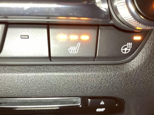 CX-30 2.0 20S プロアクティブ ツーリングセレクション レーダークルーズC 車線逸脱防止 ナビTV DVDプレーヤー ドライブレコーダー フルセグTV アドバンスドキー Pシート LEDヘッドライト Sヒーター キーレス 横滑り防止機能 パワーウィンドウ(22枚目)