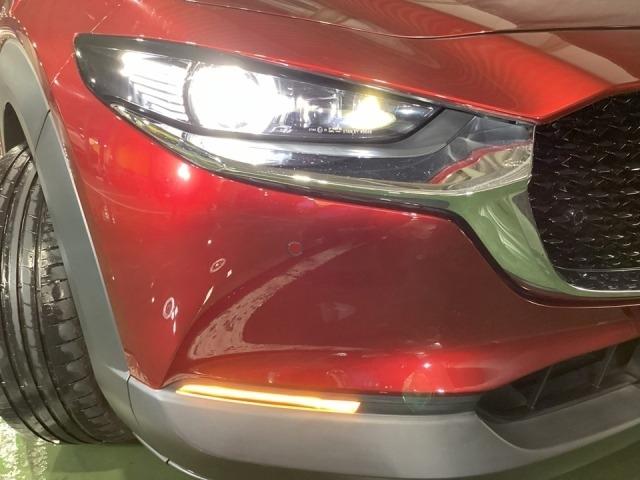 CX-30 2.0 20S プロアクティブ ツーリングセレクション レーダークルーズC 車線逸脱防止 ナビTV DVDプレーヤー ドライブレコーダー フルセグTV アドバンスドキー Pシート LEDヘッドライト Sヒーター キーレス 横滑り防止機能 パワーウィンドウ(34枚目)