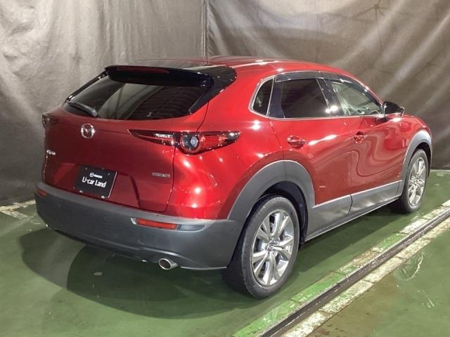 CX-30 2.0 20S プロアクティブ ツーリングセレクション レーダークルーズC 車線逸脱防止 ナビTV DVDプレーヤー ドライブレコーダー フルセグTV アドバンスドキー Pシート LEDヘッドライト Sヒーター キーレス 横滑り防止機能 パワーウィンドウ(39枚目)