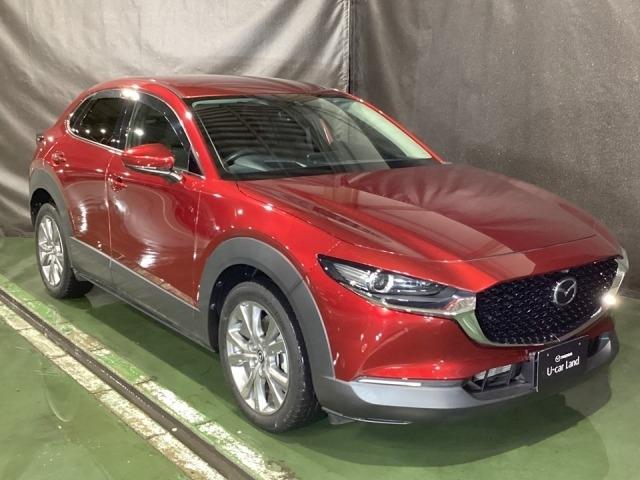 CX-30 2.0 20S プロアクティブ ツーリングセレクション レーダークルーズC 車線逸脱防止 ナビTV DVDプレーヤー ドライブレコーダー フルセグTV アドバンスドキー Pシート LEDヘッドライト Sヒーター キーレス 横滑り防止機能 パワーウィンドウ(40枚目)