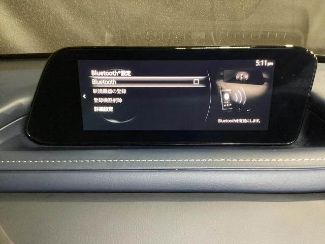 CX-30 2.0 20S プロアクティブ レーンキープ 1オーナー ドラレコ DVD スマキー LEDヘッド フルセグTV レーダークルーズ ETC Bluetooth バックカメラ オートマチックハイビーム クリアランスソナー オートライト(19枚目)