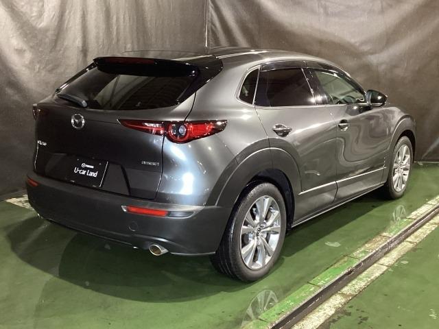 CX-30 2.0 20S プロアクティブ レーンキープ 1オーナー ドラレコ DVD スマキー LEDヘッド フルセグTV レーダークルーズ ETC Bluetooth バックカメラ オートマチックハイビーム クリアランスソナー オートライト(38枚目)