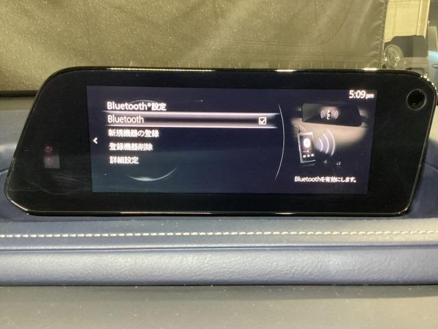 CX-30 2.0 20S プロアクティブ ツーリングセレクション 4W レーダークルーズC 車線逸脱防止 ナビTV DVDプレーヤー ドライブレコーダー 4WD フルセグTV アドバンスドキー Pシート LEDヘッドライト Sヒーター キーレス 横滑り防止機能 記録簿(19枚目)