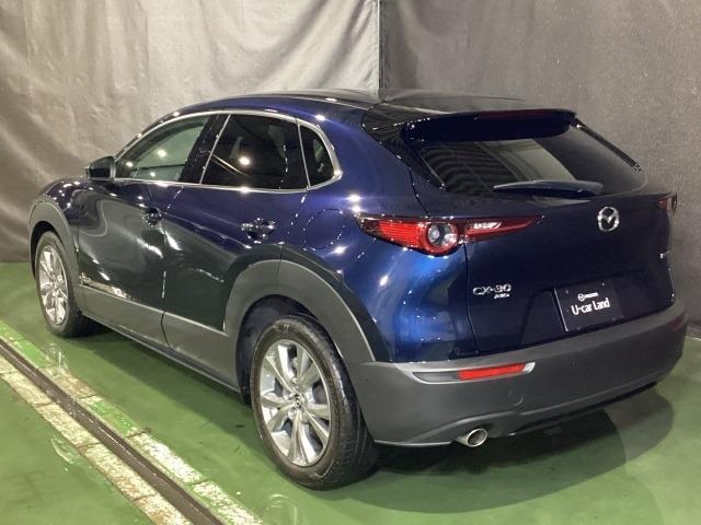 CX-30 2.0 20S プロアクティブ ツーリングセレクション 4W レーダークルーズC 車線逸脱防止 ナビTV DVDプレーヤー ドライブレコーダー 4WD フルセグTV アドバンスドキー Pシート LEDヘッドライト Sヒーター キーレス 横滑り防止機能 記録簿(38枚目)