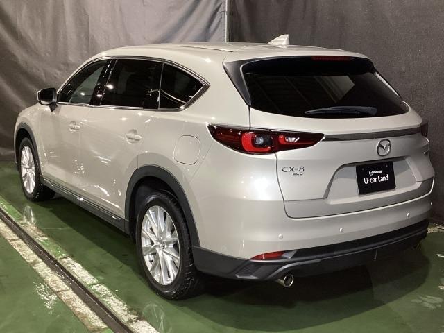 CX-8 2.5 25S スマート エディション 4WD 6人乗り Bluetoothオーディオ MRCC 前席シートヒーター キーレスエントリー LEDヘッドランプ オートライト アドバンストキー ワンオーナー車 記録簿 盗難防止 ETC 3列シート(38枚目)