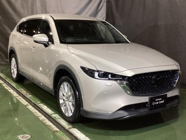 CX-8 2.5 25S スマート エディション 4WD 6人乗り Bluetoothオーディオ MRCC 前席シートヒーター キーレスエントリー LEDヘッドランプ オートライト アドバンストキー ワンオーナー車 記録簿 盗難防止 ETC 3列シート(40枚目)