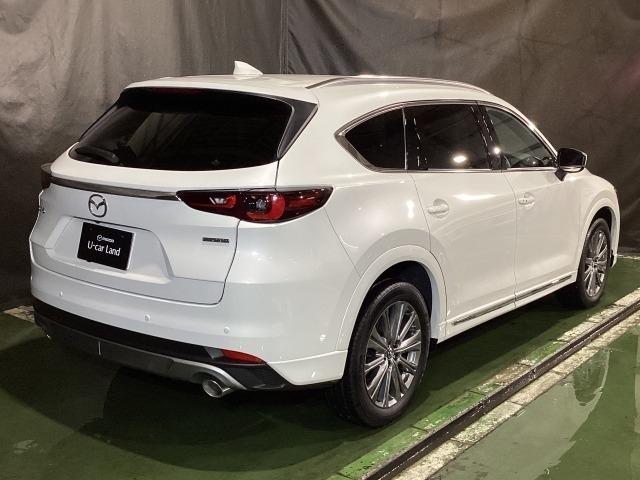 CX-8 2.2 XD エクスクルーシブ モード ディーゼルターボ 7人乗り 360度ビュー BTオーディオ オートハイビーム パワーゲート DVD再生 ワンオーナー車 LKA LEDヘッドライト 本革シート USB ルーフレール ETC 記録簿 シートヒーター(39枚目)