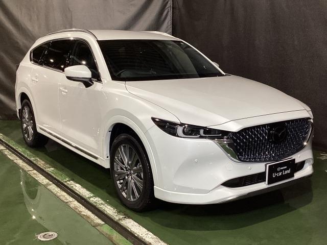 CX-8 2.2 XD エクスクルーシブ モード ディーゼルターボ 7人乗り 360度ビュー BTオーディオ オートハイビーム パワーゲート DVD再生 ワンオーナー車 LKA LEDヘッドライト 本革シート USB ルーフレール ETC 記録簿 シートヒーター(40枚目)