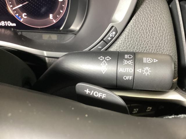 �[��ꎞ��A�������g���l���ȂǁA�w�b�h���C�g�_�E�����̔ς킵������J�����Ă����I�[�g���C�g����������Ă��܂��B