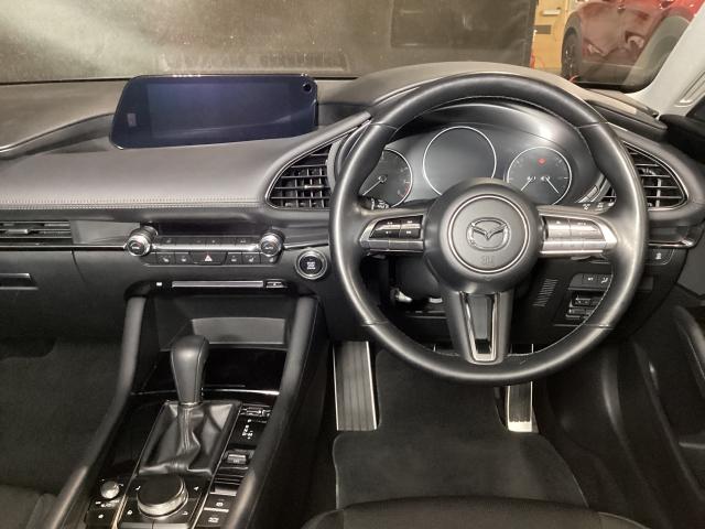 �ו��܂ō�荞�܂ꂽ���`���I�����ł��^�]���āw�l�n��́x���y���݂����Ȃ�܂��B����A�N���}�ɐG��Ă��̎����𖡂���Ă��������B