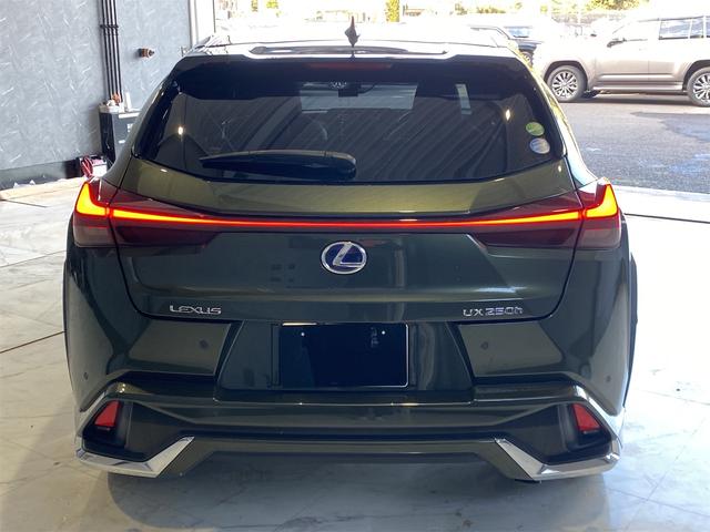 ＵＸ ＵＸ２５０ｈ　バージョンＬ／バックカメラ／パワーバックドア　シートＨ　アイドリングストップ　オートライト　電動格納ミラー　禁煙　メモリーＰＷシート　ドラレコ　フルセグ地デジＴＶ　ＬＥＤヘッドライト　ＥＴＣ２．０　クルーズコントロール　盗難防止装置　ＵＳＢ接続（3枚目）