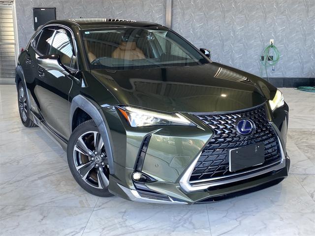 ＵＸ ＵＸ２５０ｈ　バージョンＬ／バックカメラ／パワーバックドア　シートＨ　アイドリングストップ　オートライト　電動格納ミラー　禁煙　メモリーＰＷシート　ドラレコ　フルセグ地デジＴＶ　ＬＥＤヘッドライト　ＥＴＣ２．０　クルーズコントロール　盗難防止装置　ＵＳＢ接続（6枚目）