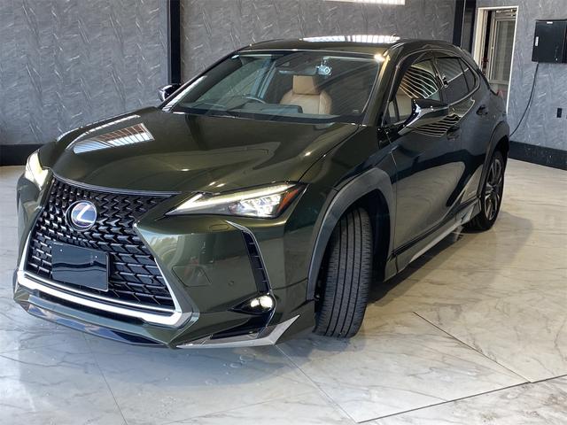 ＵＸ ＵＸ２５０ｈ　バージョンＬ／バックカメラ／パワーバックドア　シートＨ　アイドリングストップ　オートライト　電動格納ミラー　禁煙　メモリーＰＷシート　ドラレコ　フルセグ地デジＴＶ　ＬＥＤヘッドライト　ＥＴＣ２．０　クルーズコントロール　盗難防止装置　ＵＳＢ接続（7枚目）