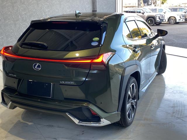 ＵＸ ＵＸ２５０ｈ　バージョンＬ／バックカメラ／パワーバックドア　シートＨ　アイドリングストップ　オートライト　電動格納ミラー　禁煙　メモリーＰＷシート　ドラレコ　フルセグ地デジＴＶ　ＬＥＤヘッドライト　ＥＴＣ２．０　クルーズコントロール　盗難防止装置　ＵＳＢ接続（8枚目）