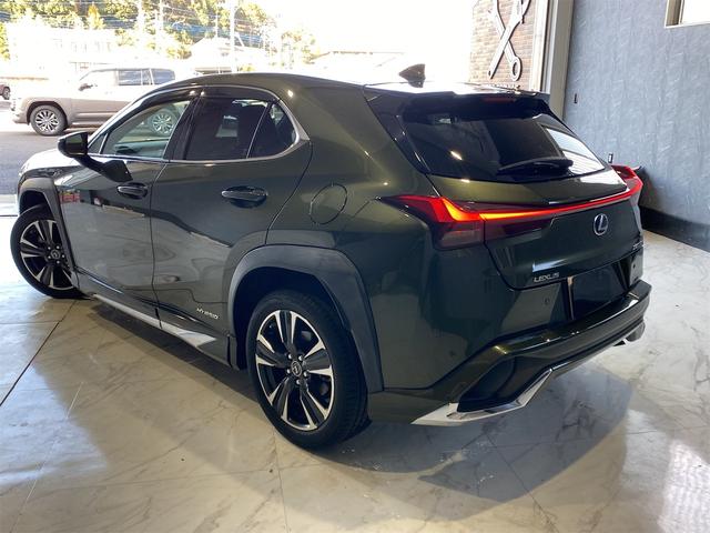 ＵＸ ＵＸ２５０ｈ　バージョンＬ／バックカメラ／パワーバックドア　シートＨ　アイドリングストップ　オートライト　電動格納ミラー　禁煙　メモリーＰＷシート　ドラレコ　フルセグ地デジＴＶ　ＬＥＤヘッドライト　ＥＴＣ２．０　クルーズコントロール　盗難防止装置　ＵＳＢ接続（9枚目）