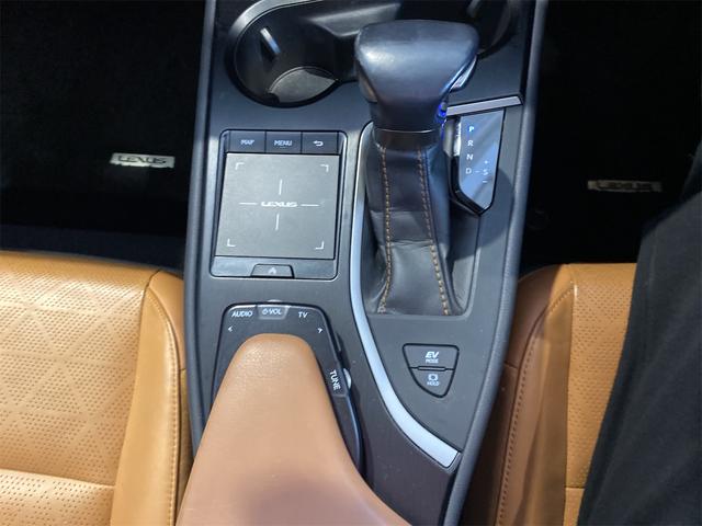 ＵＸ ＵＸ２５０ｈ　バージョンＬ／バックカメラ／パワーバックドア　シートＨ　アイドリングストップ　オートライト　電動格納ミラー　禁煙　メモリーＰＷシート　ドラレコ　フルセグ地デジＴＶ　ＬＥＤヘッドライト　ＥＴＣ２．０　クルーズコントロール　盗難防止装置　ＵＳＢ接続（11枚目）