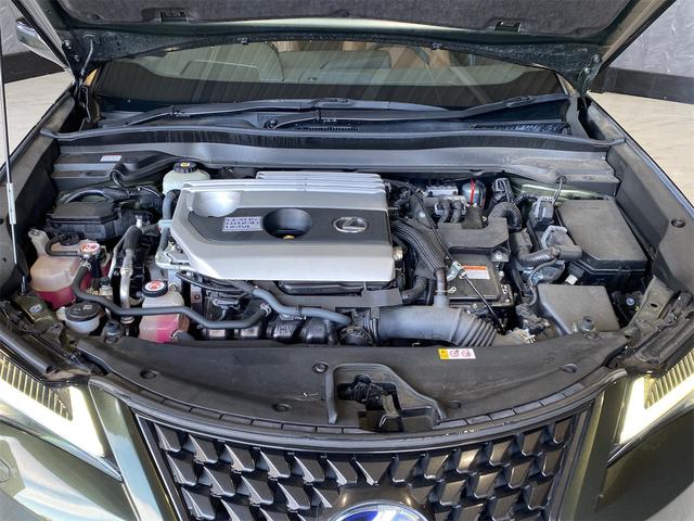 ＵＸ ＵＸ２５０ｈ　バージョンＬ／バックカメラ／パワーバックドア　シートＨ　アイドリングストップ　オートライト　電動格納ミラー　禁煙　メモリーＰＷシート　ドラレコ　フルセグ地デジＴＶ　ＬＥＤヘッドライト　ＥＴＣ２．０　クルーズコントロール　盗難防止装置　ＵＳＢ接続（17枚目）