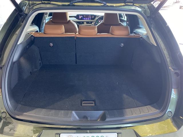 ＵＸ ＵＸ２５０ｈ　バージョンＬ／バックカメラ／パワーバックドア　シートＨ　アイドリングストップ　オートライト　電動格納ミラー　禁煙　メモリーＰＷシート　ドラレコ　フルセグ地デジＴＶ　ＬＥＤヘッドライト　ＥＴＣ２．０　クルーズコントロール　盗難防止装置　ＵＳＢ接続（18枚目）