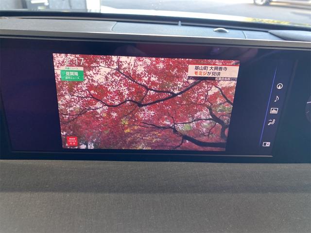 ＵＸ ＵＸ２５０ｈ　バージョンＬ／バックカメラ／パワーバックドア　シートＨ　アイドリングストップ　オートライト　電動格納ミラー　禁煙　メモリーＰＷシート　ドラレコ　フルセグ地デジＴＶ　ＬＥＤヘッドライト　ＥＴＣ２．０　クルーズコントロール　盗難防止装置　ＵＳＢ接続（25枚目）
