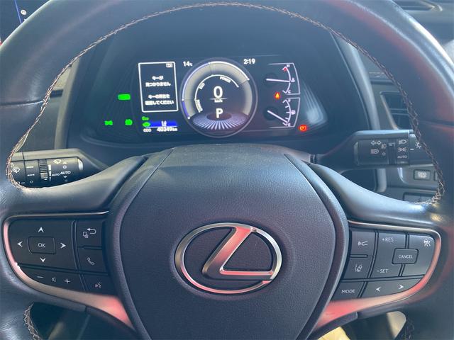 ＵＸ ＵＸ２５０ｈ　バージョンＬ／バックカメラ／パワーバックドア　シートＨ　アイドリングストップ　オートライト　電動格納ミラー　禁煙　メモリーＰＷシート　ドラレコ　フルセグ地デジＴＶ　ＬＥＤヘッドライト　ＥＴＣ２．０　クルーズコントロール　盗難防止装置　ＵＳＢ接続（30枚目）