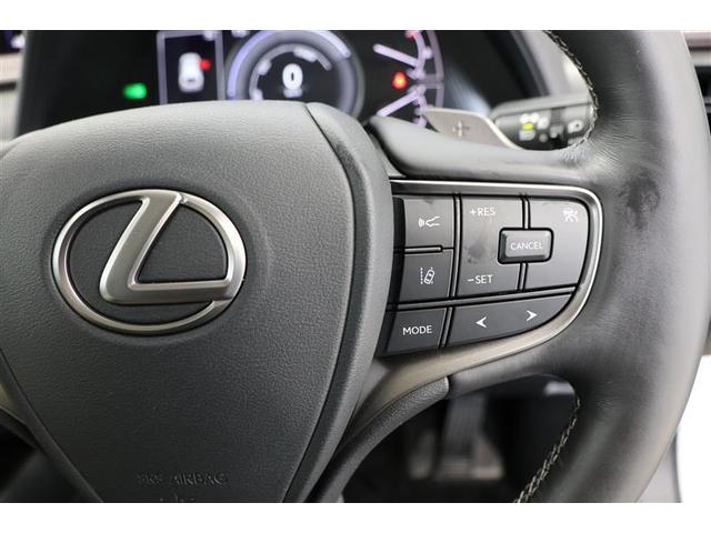 UX UX250h バージョンL HDDナビ バックカメラ 革シート アルミホイール フルセグ 衝突防止システム スマートキー 記録簿 ワンオーナー エアコン パワーステアリング パワーウィンドウ(9枚目)