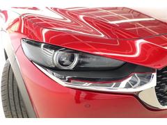 ̣ţĥإåɥ饤Ȥ֤¿ 5