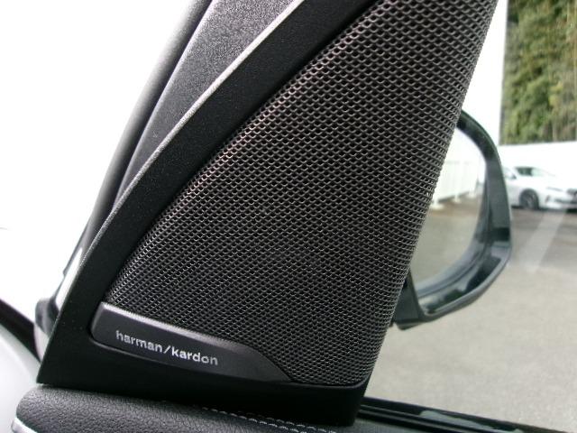 X3 xDrive 20d Mスポーツ 元社有車 ETC ACC 360度カメラ 茶レザーシート シートヒーター 電動シート アップルカープレイ対応 電動リアゲート ヘッドアップディスプレイ 純正19AW(40枚目)