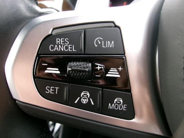 X3 xDrive 20d Mスポーツ 元社有車 ETC ACC 360度カメラ 茶レザーシート シートヒーター 電動シート アップルカープレイ対応 電動リアゲート ヘッドアップディスプレイ 純正19AW(47枚目)