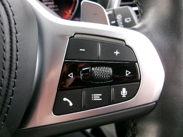 X3 xDrive 20d Mスポーツ 元社有車 ETC ACC 360度カメラ 茶レザーシート シートヒーター 電動シート アップルカープレイ対応 電動リアゲート ヘッドアップディスプレイ 純正19AW(48枚目)