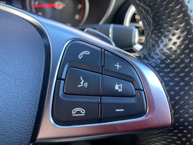 GLC GLC250 4マチックスポーツ /レーンキープアシスト/ブラインドスポット/LEDヘッドライト/純正ナビ地デジ/360度カメラ/ハーフレザーシート/パワーシート/アンビエントライト/プッシュS/スマートキ/パワートランク/純正アルミ(30枚目)