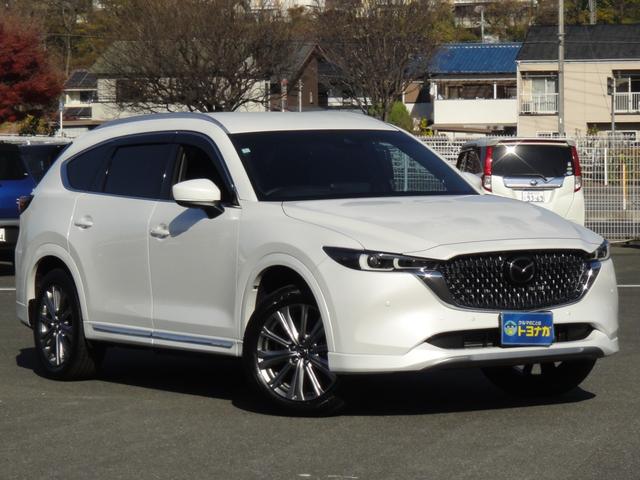 ＣＸ－８ ＸＤ　エクスクルーシブモード　１０．２５インチナビＤＴＶ　アルパイン後席モニター　ＢＯＳＥサウンド　黒レザーシート　シートベンチレーション＆シートヒーター＆パワーシート　シートポジションメモリー　パワーリアゲート　ルーフレール（6枚目）