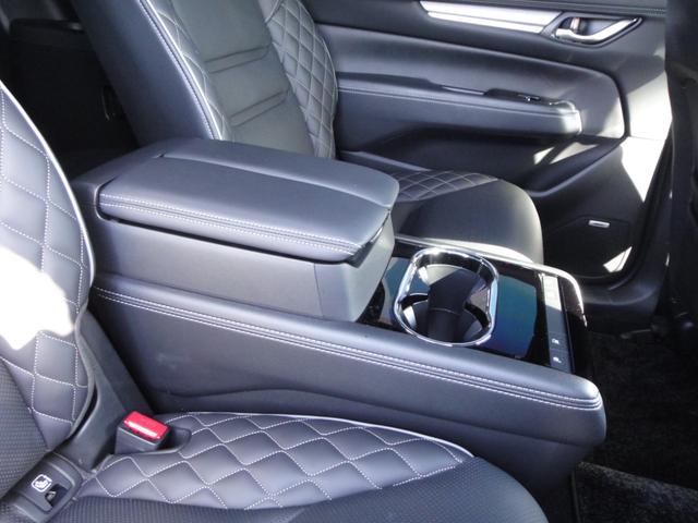 ＣＸ－８ ＸＤ　エクスクルーシブモード　１０．２５インチナビＤＴＶ　アルパイン後席モニター　ＢＯＳＥサウンド　黒レザーシート　シートベンチレーション＆シートヒーター＆パワーシート　シートポジションメモリー　パワーリアゲート　ルーフレール（35枚目）