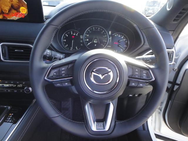 ＣＸ－８ ＸＤ　エクスクルーシブモード　１０．２５インチナビＤＴＶ　アルパイン後席モニター　ＢＯＳＥサウンド　黒レザーシート　シートベンチレーション＆シートヒーター＆パワーシート　シートポジションメモリー　パワーリアゲート　ルーフレール（41枚目）